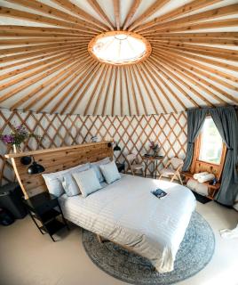 Incredible Yurt at the Bear Glacier Lagoon for a Unique Glamping Experience near Seward, Alaska - 7