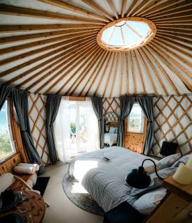 Incredible Yurt at the Bear Glacier Lagoon for a Unique Glamping Experience near Seward, Alaska - 6