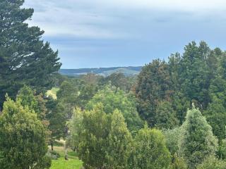 Beechy Forest Retreat - 8