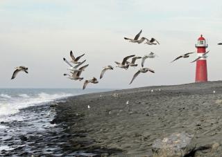 Studio Petite Suite - 1