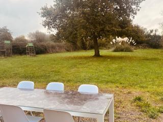 Ô Saule Saint-Josse, Hauts-de-France - 1
