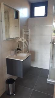 Luxuriöses Ferienhaus mit Sauna, Whirlpool und Fitnessraum im Nationalpark Schwarzwald - 1