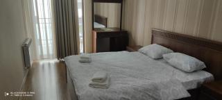 Grand Tbilisi Apartment near Liberty Square - 5