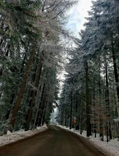 Krynica Zdrój - Dom nad wodą -  - 7