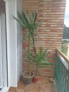 apartamento céntrico zona Marques de comillas 8 - 8