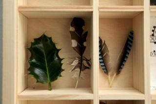 Cwmanog Uchaf Cottage - 2