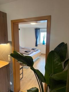 Moderne große Wohnung mit Garten - 4