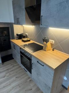 Moderne große Wohnung mit Garten - 2