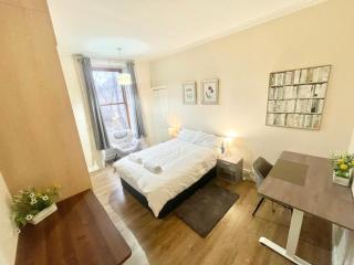 Newingtons Georgian Apartment - Fast WiFi - Central Edinburgh - 9