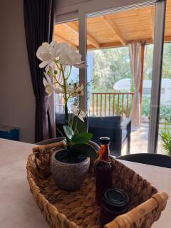 Mobile home Nika - 1