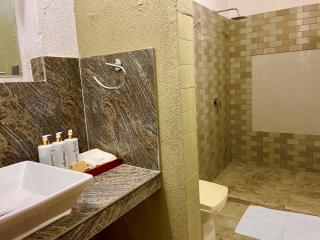 Airport Coconut Villas Free One Way Air Port Pick Drop - 2