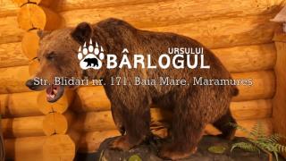 Barlogul Ursului - 3
