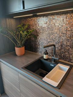 Modern cabin with jacuzzi near Trysil alpine - 1