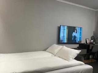 Mountain stars Kopaonik - 2