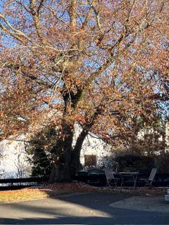 Ferienwohnung Götz - 7