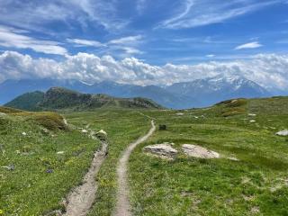 Maison Plan de Dieu - 3