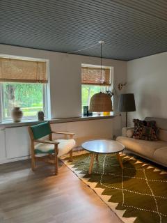 Odense CityCenter Townhouse - free parking - 2