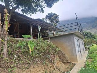 Family Homestay Mrs Thom Sapa - 1