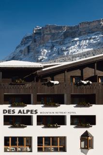 Hotel Des Alpes - 6