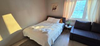 Beautiful apartment in the middle of the city with own parking - Applegarden - 5-6 persons - 6