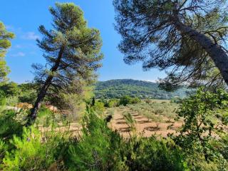 Domaine Lou Amì - 7