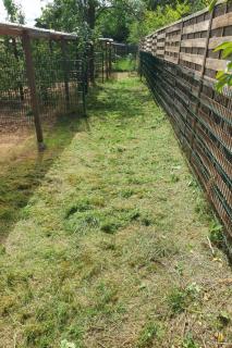 Holiday Home Haus am Ostsee by Interhome - 5