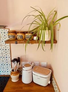 The Apple Shed - cosy cabin nestled in orchard in rural Devon - 5