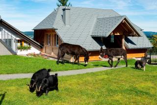 Michelehäusle - Sankt Märgen - 3