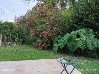 cabaña los cardenales a 5' termas del guaychu - 9
