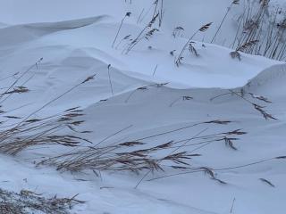 Gulfhof Polder72 Polder72 7 Here - 8