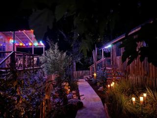 Le petit kck - l'agapanthe - 7