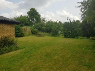 Central Apartment Billund - 500 m from LegoHouse - 4