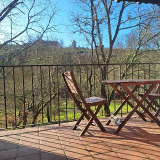 Apartamentos Casasturga - 8