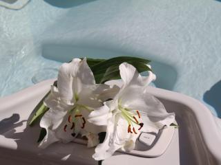 Holiday Home Villa du Port by Interhome - 6