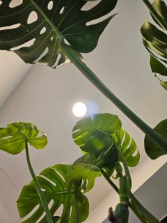 Meet Happiness - Hsia-pu-hsia - 1