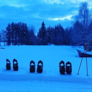 Aurora Lakefront Cottage MATILDA, 55km from Rovaniemi - 4