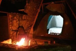 The Plot West Coast Style Glamping & Accommodation - 7