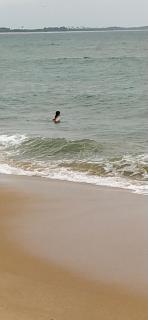 Silver Wave Beach Villa - 4