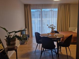 Elite Home 7a Jeżyce - Barańczaka - 4