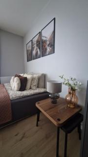 Elite Home 7a Jeżyce - Barańczaka - 5