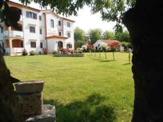 Apartment Villa Linet 2- by Interhome - 4