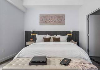 Alluring and Spacious 1 Bed 1 Bath Apt - 1