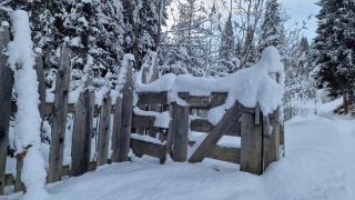 Ferienwohnung Bergmann - 1