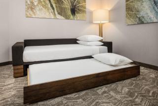 SpringHill Suites by Marriott Eau Claire - 8