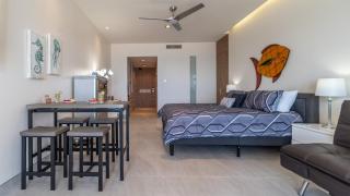 Sonoran Star One 504-Full - 3