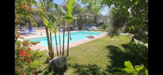 Villa Luisa villa con piscina e Vasca Idromassaggio vicino Otranto - 5