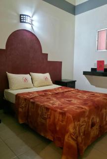 J Alejandro - Centro Histórico Guadalajara - 7