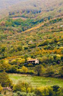 La Seguirilla del Jerte - 2