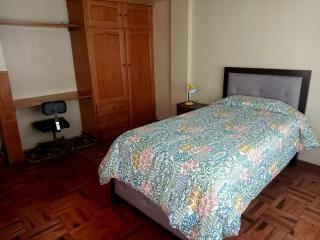 Puno CANDELARIA 2026 - 1