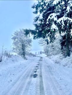 Ferienwohnungen Ferienhaus Nähe Winterberg Upland - 9